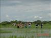 Practica de Ecologia Vegetal en el Hato del Frio (Apure) (2)